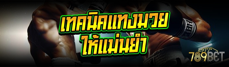 เทคนิคแทงมวย ให้แม่นยำ