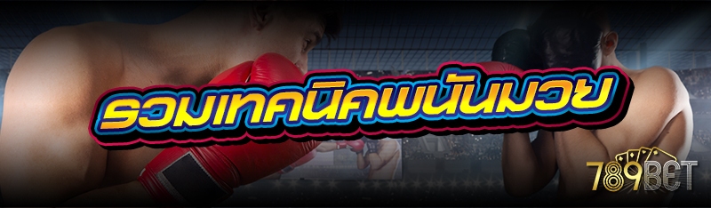 รวมเทคนิคพนันมวย 