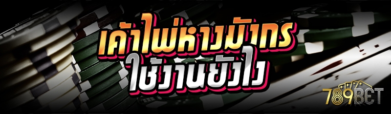 เค้าไพ่หางมังกร ใช้งานยังไง