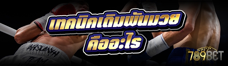 เทคนิคเดิมพันมวยคืออะไร  